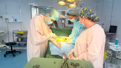 Higher Medical Education
